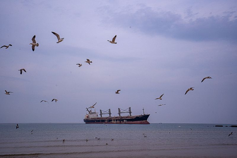 山东青岛滨海风光实拍